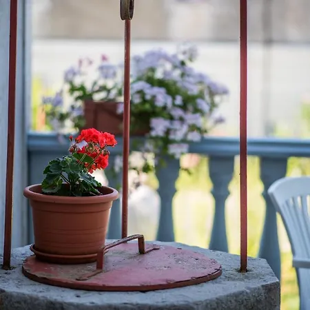 Ana 1 * מאלינסקה